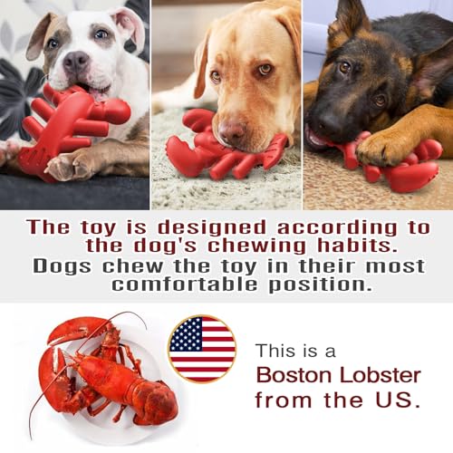 LiuMelinda Dog Chew Toys for Aggressive-Chewers - Indestructible Dog Toy for Aggressive Chewer,Tough Chew Toys for Dogs (Nylon Red-Lobster)