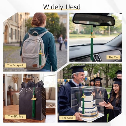 Image of GraduationMall Single&Multiple Color Graduation Tassel with 2026 Year Charm 9 inch