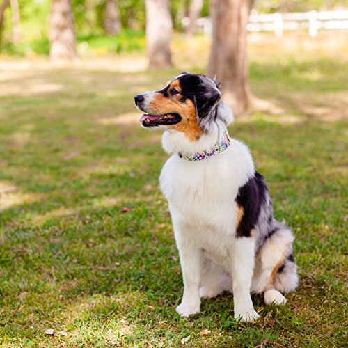 Country Brook Petz - Yellow Boho Mandala Martingale Dog Collar - Groovy Collection With 11 Far Out Designs (1 Inch, Large) #TOP2