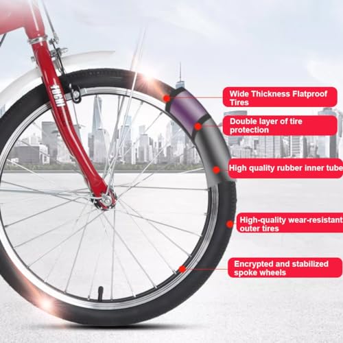 Bicicleta Carga 20 Pulgadas para Adultos con Canasto miniatura 4