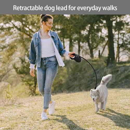 Ausziehbare Leine für Hunde,Rollleine Hundeleine 5m,Leine Hundeleine Einziehbar,Hundeleine für Hunde,Hundeleine Ausziehbar mit Griff,Dog Leash,Verhedderungsfreie Ausziehbare Hundeleine