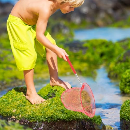 SAFIGLE 5 Stück Schmetterling Net Kinder：Teleskop Fischernetz Teichnetz für Kinder，Natur Wissenschaft Exploration Werkzeug Fangen von Insekten - Ideal zum Fangen von Insekten Bugs Angeln Garten Pool