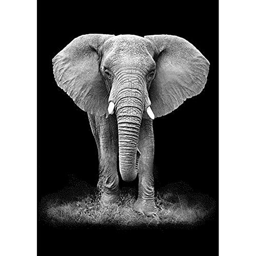 Ecotrump 5D Broderie Diamant Kit,Diamond Painting Kit Complet Adulte Art,Animaux Noirs et Blancs Diamant Peinture Résine Diamant Rond pour la Chambre Murale Décoration Cadeaux 30 x 40 cm (Éléphant)