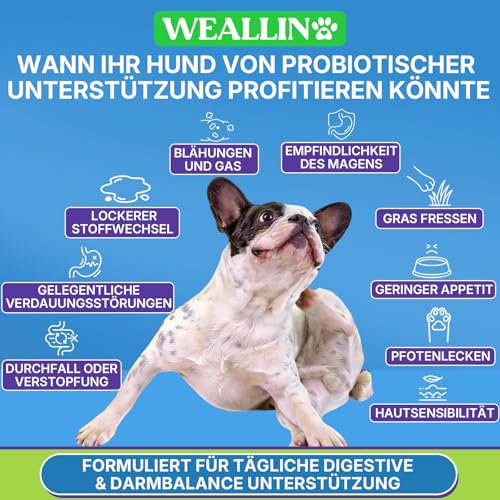 WEALLIN Probiotika für Hunde, Präbiotika für die Darmgesundheit – Unterstützt die Verdauungsgesundheit und die Nährstoffaufnahme – 200 Weiche Kaudrops zur Unterstützung der Hautgesundheit
