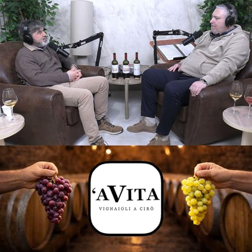 Ep.99 - 'A VITA e i suoi VINI raccontati da FRANCESCO DE FRANCO