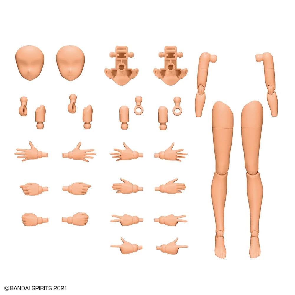 Bandai Hobby - 30MS Option Body Parts Arm Parts & Leg Parts [Color C]