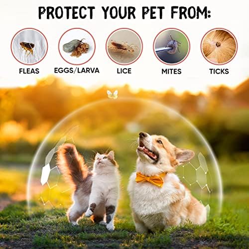 Flea & Tick Spot On For Cats & Dogs(1-60kg) - 120 Days Protection - 'Skin Safe' Flea Drops For Cats & Dogs - Citrus Scent - Safe Alternative To Harmful Neurotoxin-Based Spot On For Lice/Mites