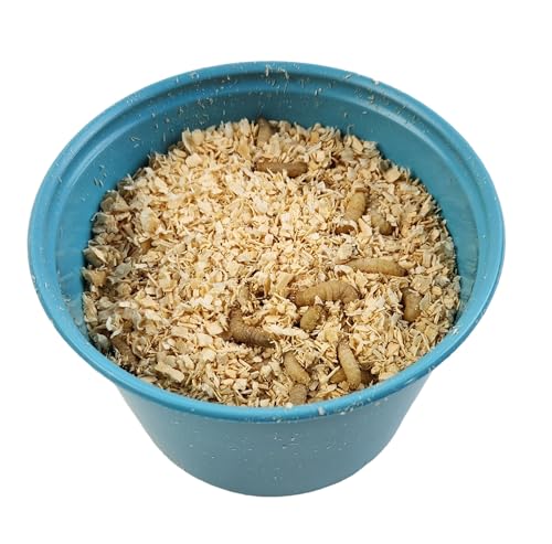 Josh's Frogs Waxworms (250 Count) for Reptiles & Amphibians