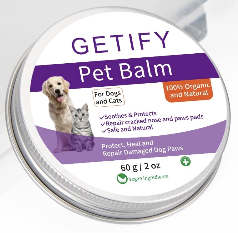 Can You Moisturize Your Dog