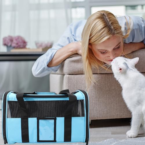 Sac de transport pour chat pliable et léger TEHAUX