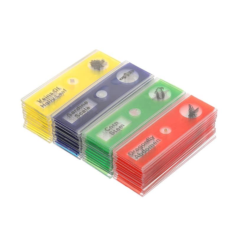 Microscope 48pcs/Set Plastic Prepared Microscope Slides Set with Color Labels for Kids