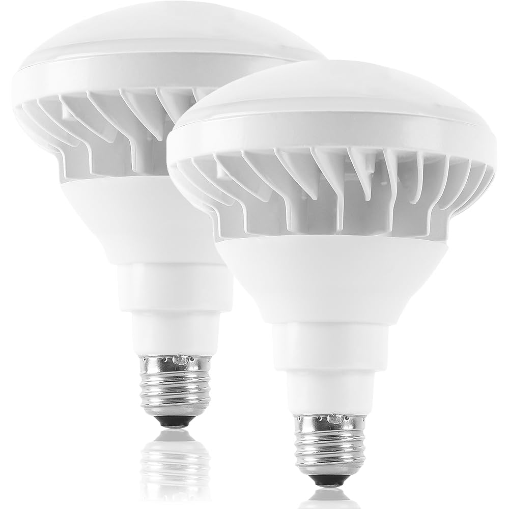 Amazon | LEDビーム電球 PAR38 E26 屋外 昼白色 5000K 25W 5000lm 250W
