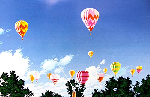 Amazon.co.jp: アートショップ フォームス ヒロ ヤマガタ「US