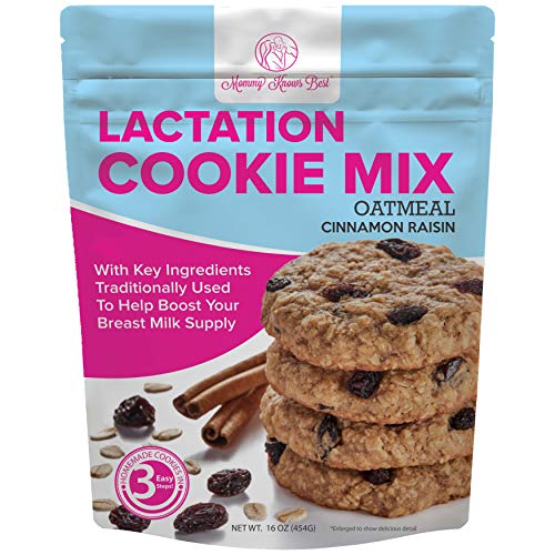Lactation Cookies Mix Breastfeeding Supplement Oatmeal Cinnamon Raisin Breast Feeding Cookie Supplement Support