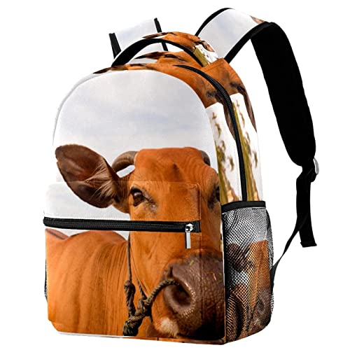 Sac à dos vache pour enfants fini le mal de dos à l'école