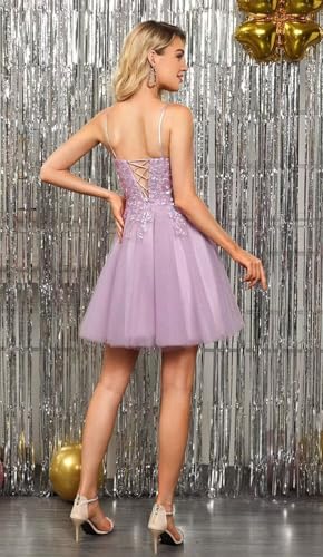 Lace Applique Homecoming Dresses for Teens 2025 Sparkly Tulle DAMA Dress for Quinceanera A-line V-Neck Short Prom Gown3