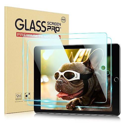 DTTO Screen Protector for 7.9 inch iPad Mini 3 2 1 (2014/2013 / 2012 Released), Tempered Glass Film with Camera Protector Guard for iPad Mini 3rd / 2nd / 1st Generation 7.9' - 2 Pack