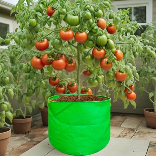 Image of by Bright Enterprises HDPE Grow Bags 15x15 Inch (Set of 9) - Heavy Duty Grow Bags for Terrace & Home Gardening | Plant Bags for Vegetables, Fruits and Plants | Grow Bag Combo Pack
