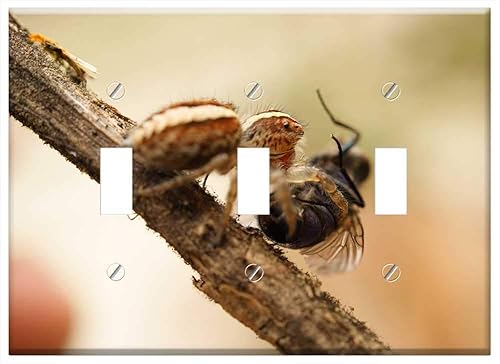 Switch Plate Triple Toggle - Nature Insects Spider Fly The Virginia Quindio