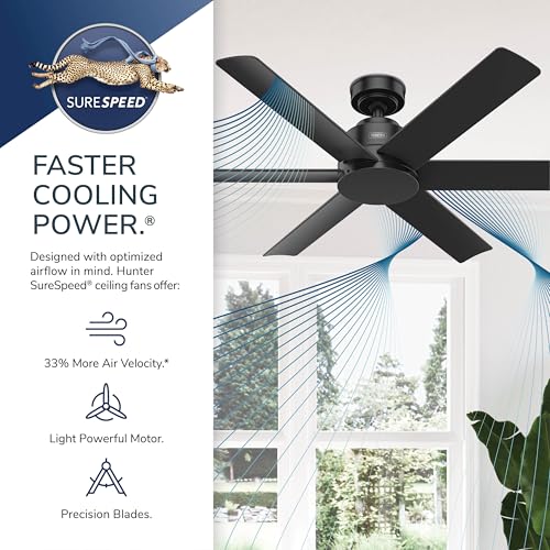Image of Hunter 52 inch Kennicott Indoor /Outdoor Ceiling Fan, Wall Control, Luxe Gold
