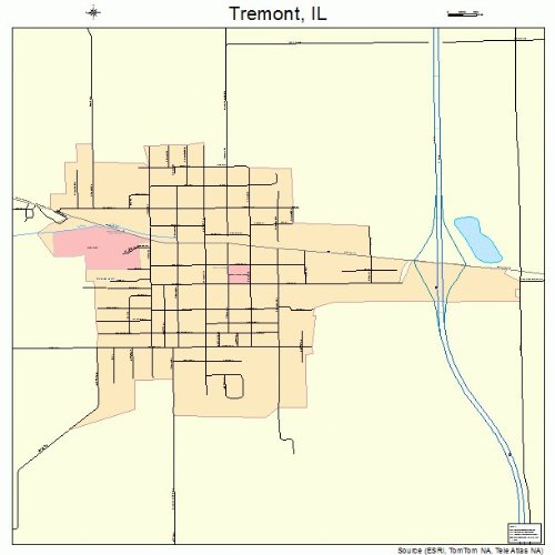 Large Street & Road Map of Tremont, Illinois IL Printed poster size