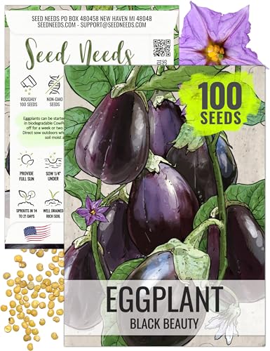 Seed Needs Eggplant Seeds for Planting Black Beauty Eggplants - Non-GMO Heirloom & Untreated Annual Crops - Grow a Home Grown Vegetable Garden Outdoors (1 Pack)