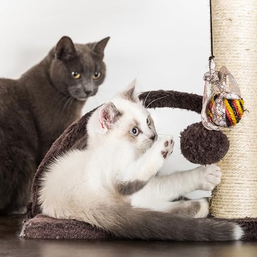 Torre para gatos 6 niveles con cama acolchada PETMAKER miniatura 5