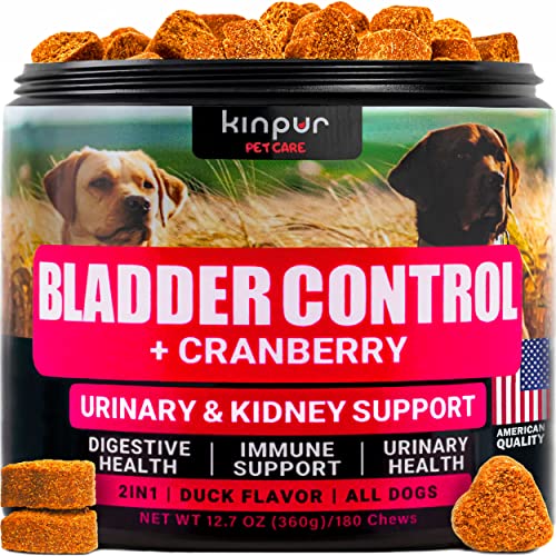 Find The Best Kidney Supplements For Dogs Reviews & Comparison Katynel