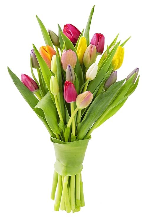 Image of KaBloom-10 Assorted Tulip Bouquet,Flowers for Valentine, Mother's Day