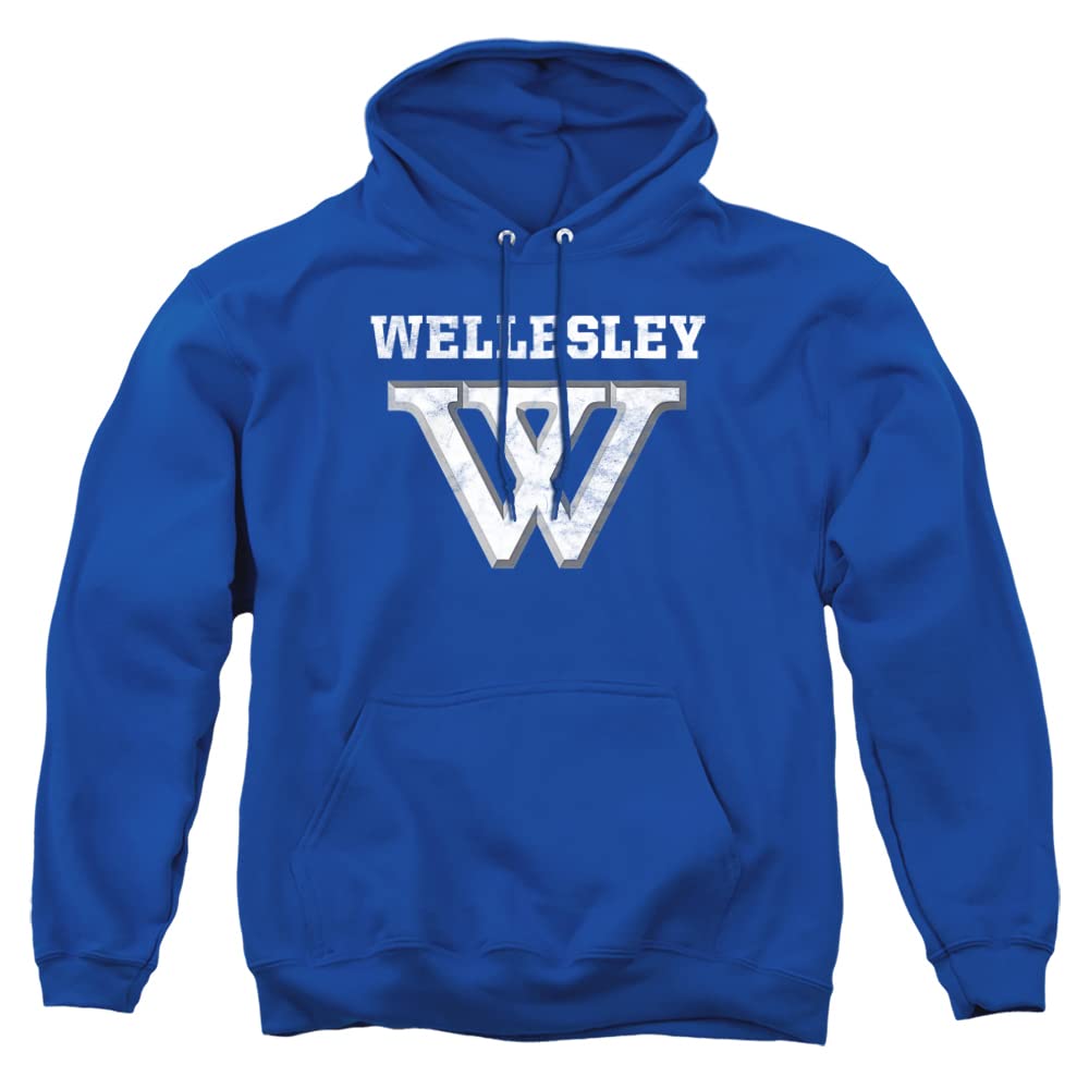 LOGOVISION Official Collegiate Distressed Primary Logo Adult Pullover Hoodie Collection — view 197