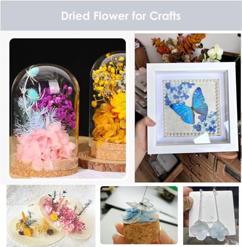 DongArts Konservierte getrocknete Hortensien Blumen Set, 6 zufällige Farben pro Box, 100% natürliche Hortensien Blumen für DIY Kerze Harz Geschenk Filler Handwerk (3 Box)