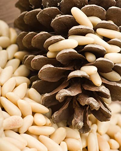 Image of Purani Dilli Se Chilgoza Giri 250g | Premium AAAAA Grade Pine Nuts Kernels & Pine Seeds | Exotic PIne Nut Dry Fruits Rich in Protein, Healthy Fats & Nutrients | Ready to Eat Chilgoza for Snacking, Cooking & Gifting