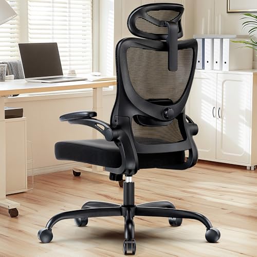 HUANUO Ergonomic Office Chair, High Back Computer Desk Chair...