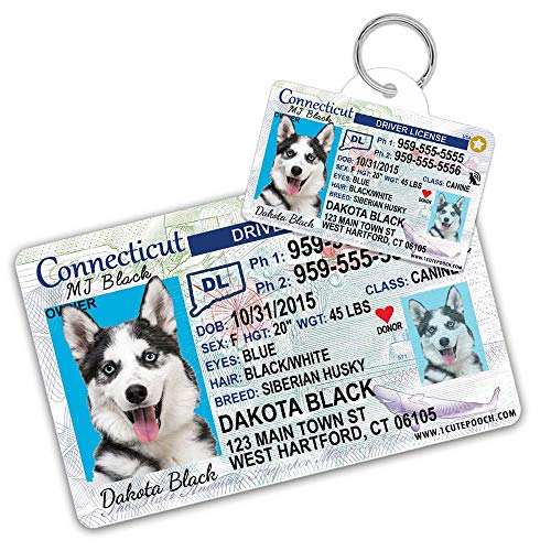 pet id license