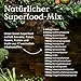 NATURE LOVE® Green Superfood - 300g - 15 Superfoods und 2 Vitalpilze - u.a. mit Gerstengras, Spirulina & Moringa - Greens Pulver ohne Aromen, Süßstoffe oder zugesetzten Zucker - vegan & laborgeprüft