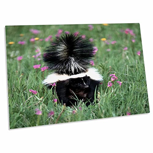3dRose Captive Striped Skunk en Campo de Flores