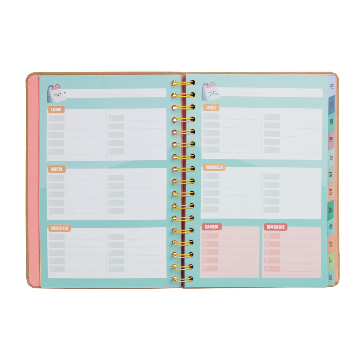 Mr.Wonderful Wonder 2023-2024 Week to View Diary - Everything I'll Do, Multi-Coloured - Multi-Coloured - Image 4