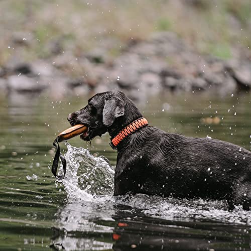 Sprenger Hundehalsband aus stabilem Paracord Nylon mit Edelstahl Clic Lock Verschluss I Wasserabweisende Halskette, reflektierend, langlebig 50 cm, orange