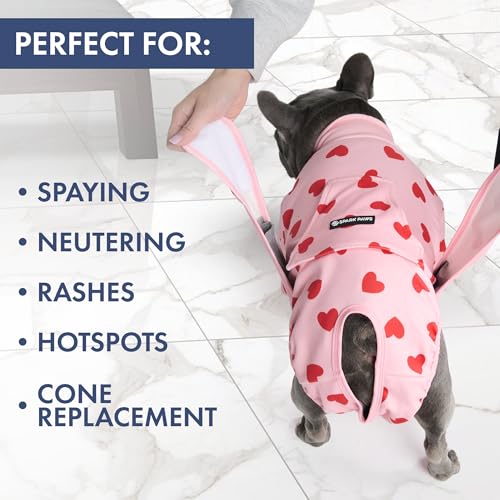 Image of Spark Paws Dog Recovery Suit - Surgical Onesie After Surgery, Male & Female | Full-Body & Belly Coverage Post Spay, Neuter or Abdominal Surgery - a Soft Cone Alternative. Breathable; Fits All Breeds