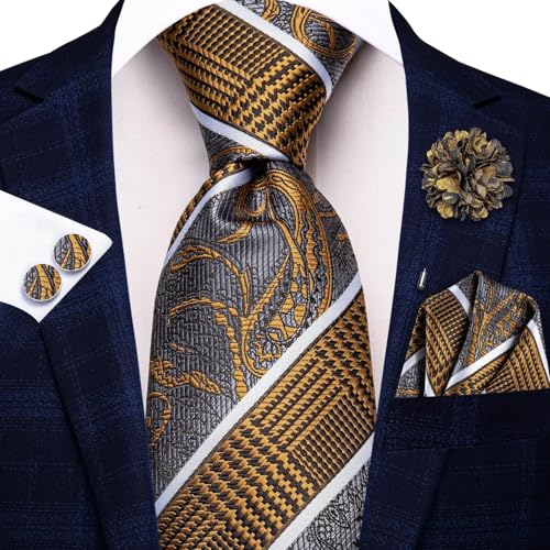 Image of Hi-Tie Mens Paisley Floral Striped Ties Set Silk Necktie and Lapel Pin for Men Pocket Square Cufflinks Set Business Wedding