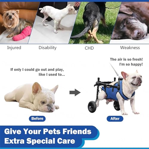 Cadeira de rodas para cães para pernas traseiras, cadeira de rodas ajustável para animais de estimaç