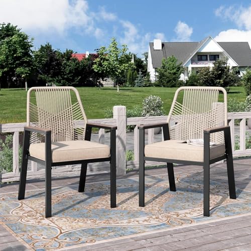 PHI VILLA Chaise Fauteuil de Jardin Exterieur Terrasse Fer Forgé 2 Pièces Lot de Chaises de Table avec Dossier en Rotin pour Balcon Salon