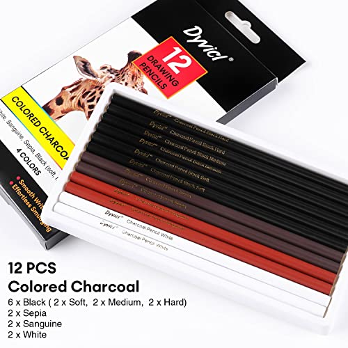 Dyvicl Charcoal Pencils Drawing Set, 12 Pieces Colored Charcoal Pencils For Drawing, Sketching, Shading, Blending, Highlight White Pencils For Beginners And Artists #TOP1