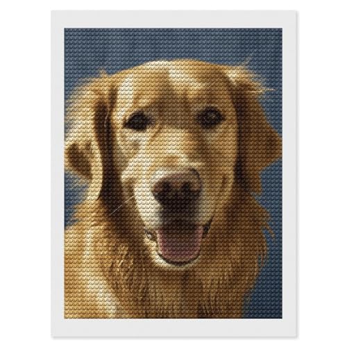 Kit d'art diamant chien doré cadeau original à faire soi-même pour adultes