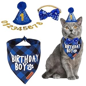 ADOGGYGO Cat Birthday Party Supplies, Birthday Boy Plaid Kitten Bandana, Blue Cat Party Hat with Numbers, Bowtie (Blue)