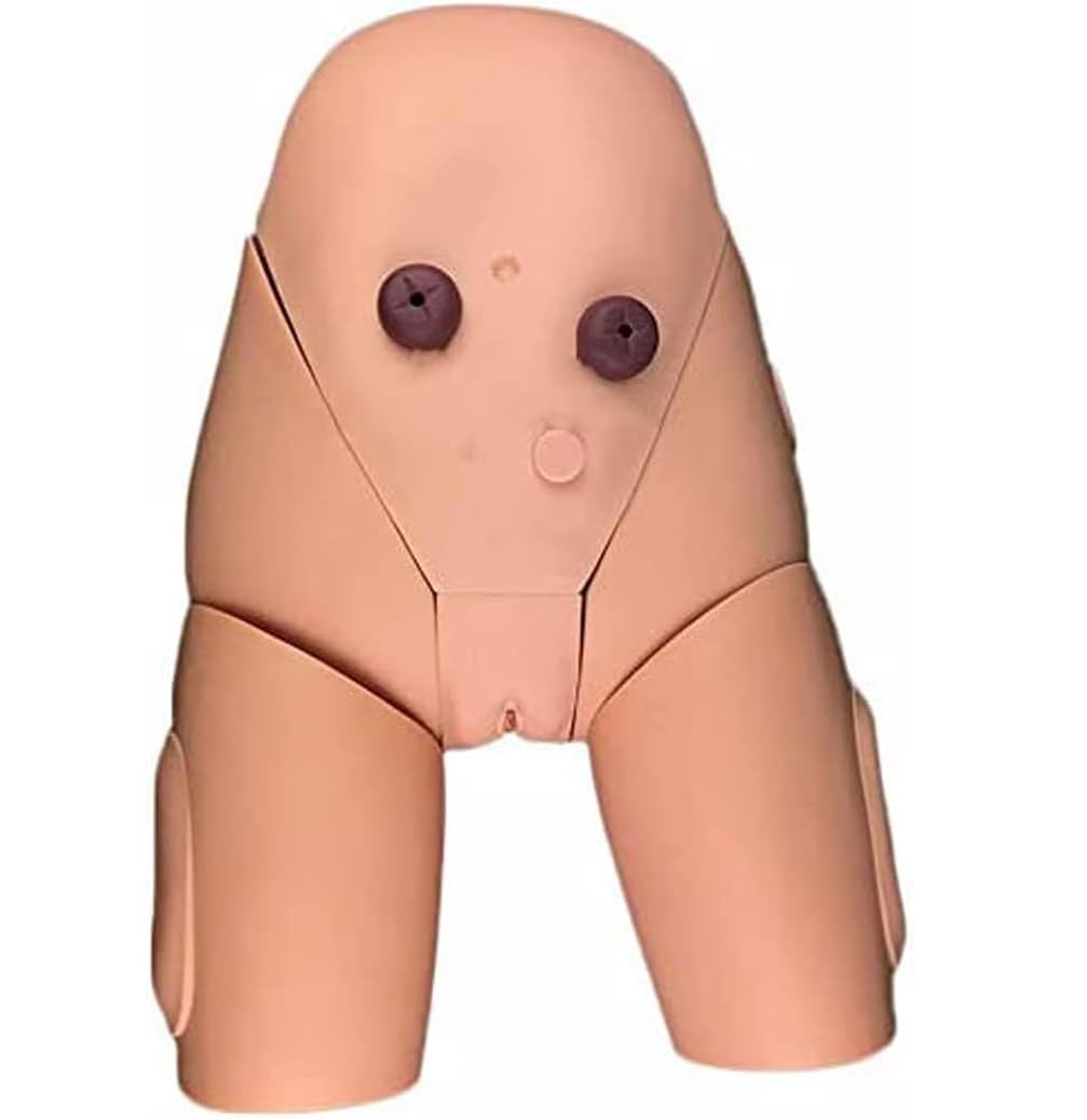 Modèle De Cathétérisme Humain Homme Femme Pratique du Cathétérisme Interchangeable Lavement Enseignement Opération Infirmière Pratique du Cathétérisme Moule Formation Au Cathétérisme