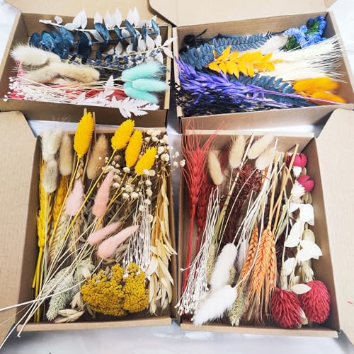 Kit natural de flores secas para manualidades y decoración miniatura 5