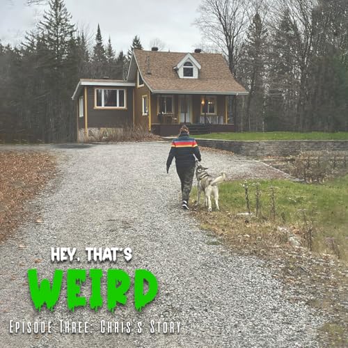 Episode Three: Chris's Story cover art