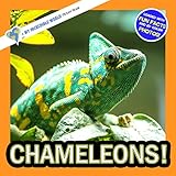 Photo Gallery chameleons!: a my incredible world picture book for children (my incredible world: nature and animal picture books for children) (english edition) Photo Gallery chameleons!: a my incredible world picture book for children (my incredible world: nature and animal picture books for children) (english edition)