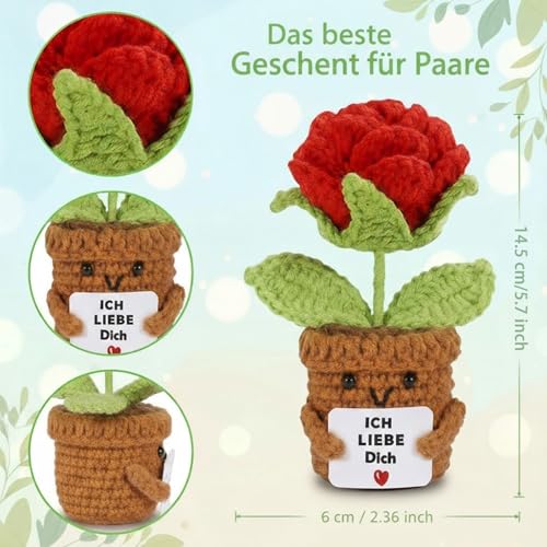 Aruigu Ich Liebe Dich Geschenke für Frauen Männer, Handgefertigte Rosen Heimat Dekoration, Partner Geschenke, Hochzeitstag, Jahrestag Geschenk für Sie Ihn, Liebes Geschenk für Ihn Sie